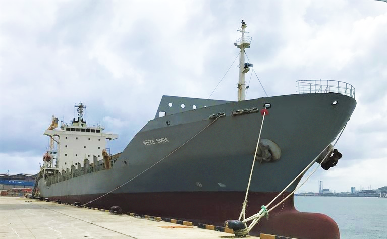 Container ship FESCO Yanina joins the FESCO fleet
