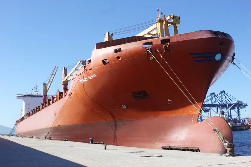 Container ship FESCO Sofia joins the FESCO fleet