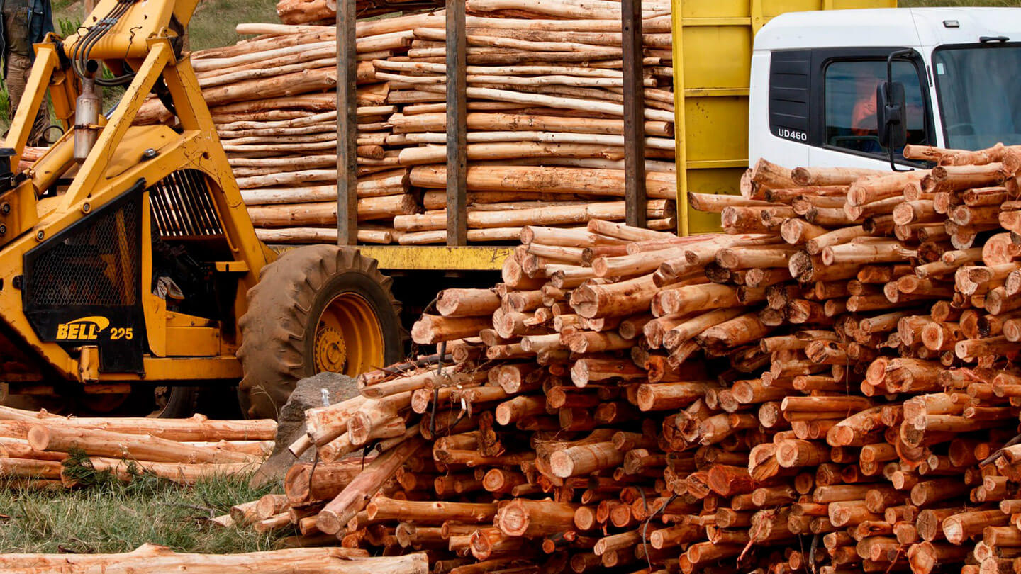 Logistic solutions for the forest industry